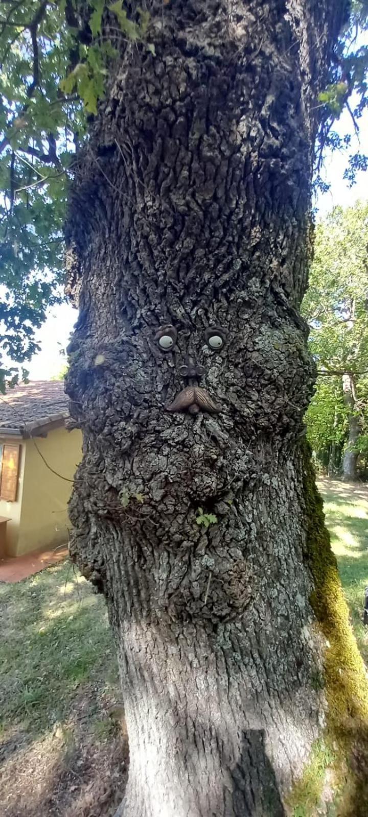I Tre Lecci * Nocera Umbra