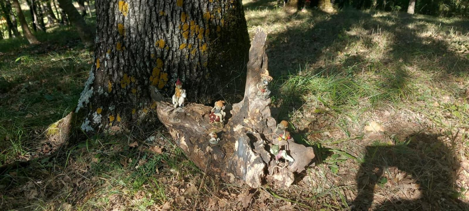 I Tre Lecci * Nocera Umbra